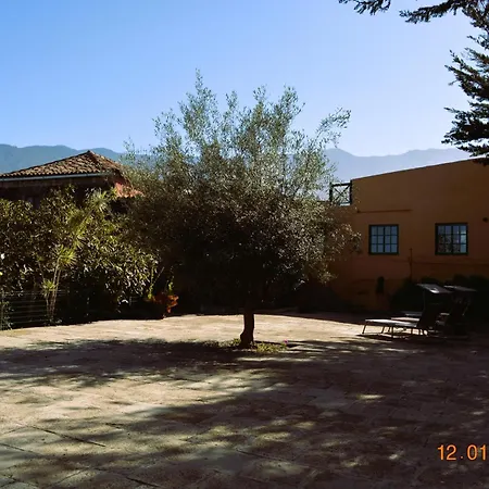 La Hachita. La Orotava