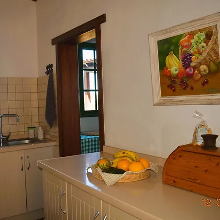 La Hachita. Casa vacanze La Orotava