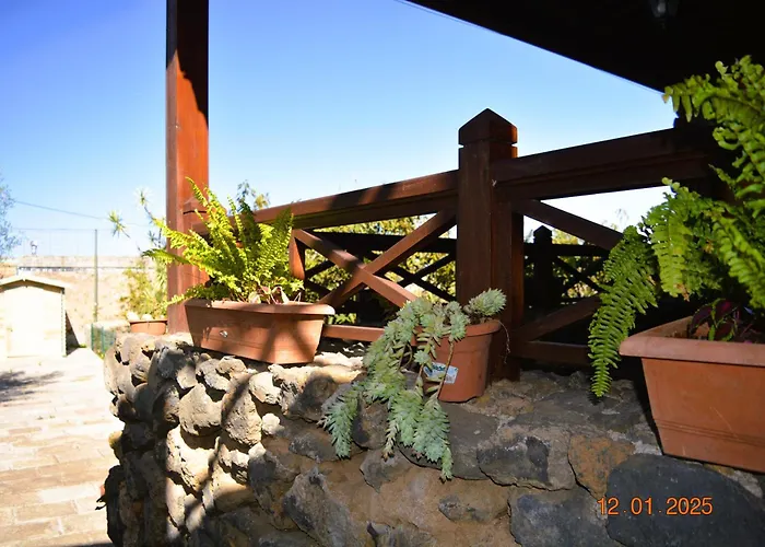 La Hachita. Hébergement de vacances La Orotava