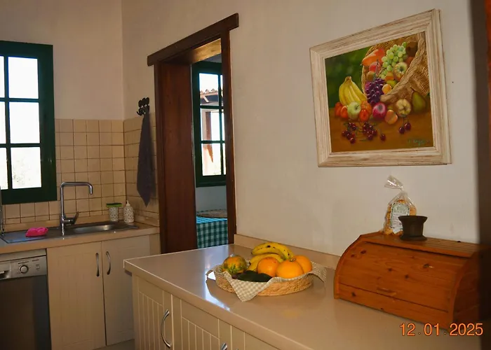 La Hachita. Hébergement de vacances La Orotava